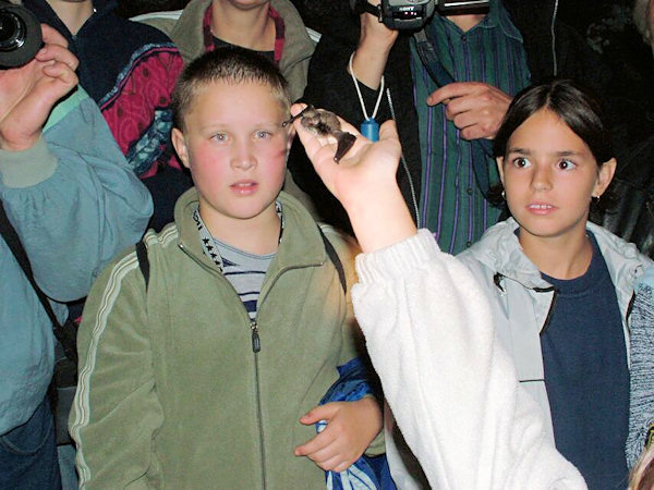 Evropská noc pro netopýry 3. září 2004.