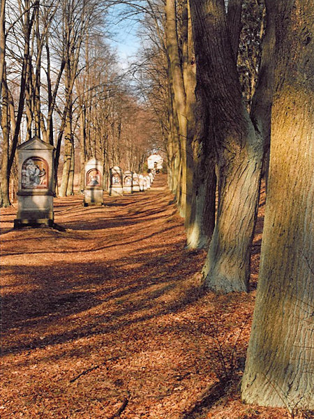 Obrázek z fotosoutěže 