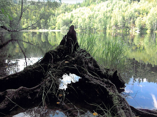 Obrázek z fotosoutěže 