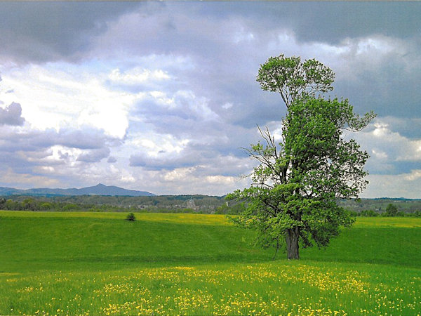 Obrázek z fotosoutěže 