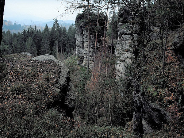 Obrázek z fotosoutěže 