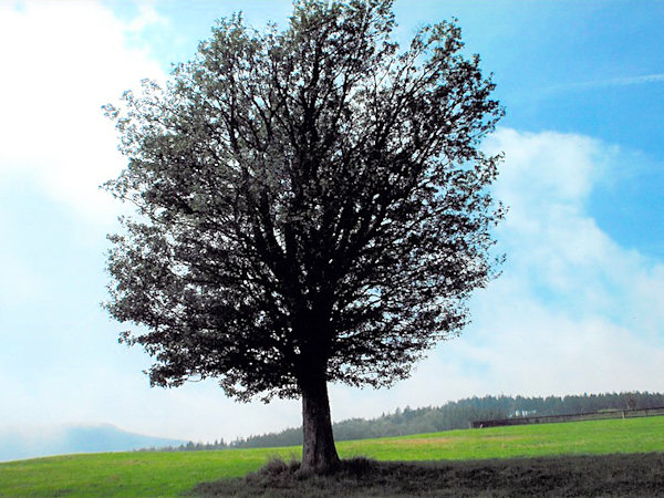 Obrázek z fotosoutěže 