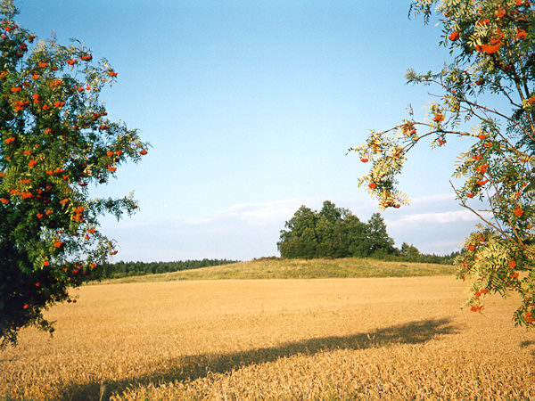 Nachmittag bei Bukovany.