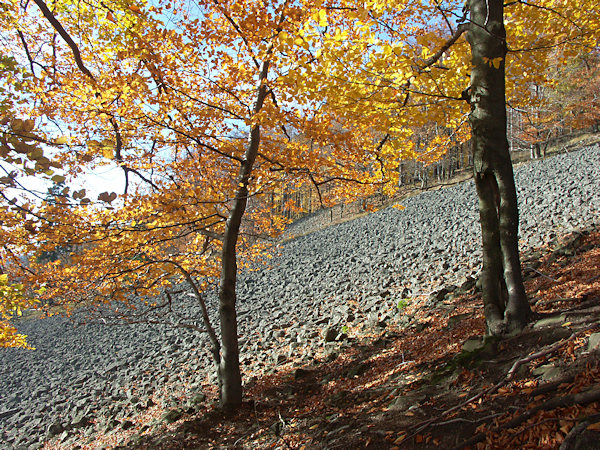 Shadows in the talus.