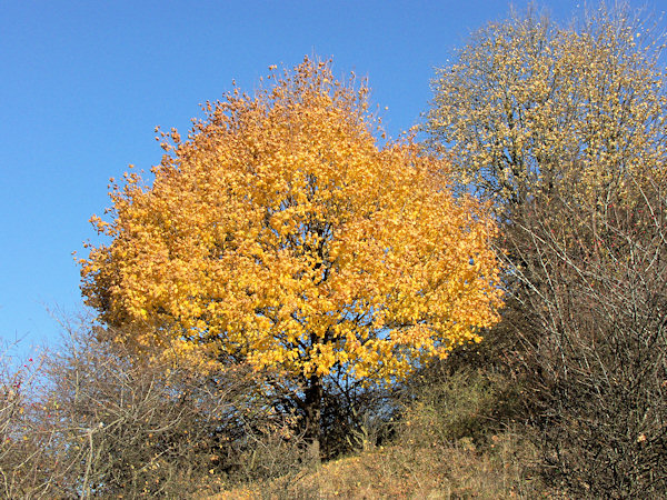 Under the Střední vrch-hill.