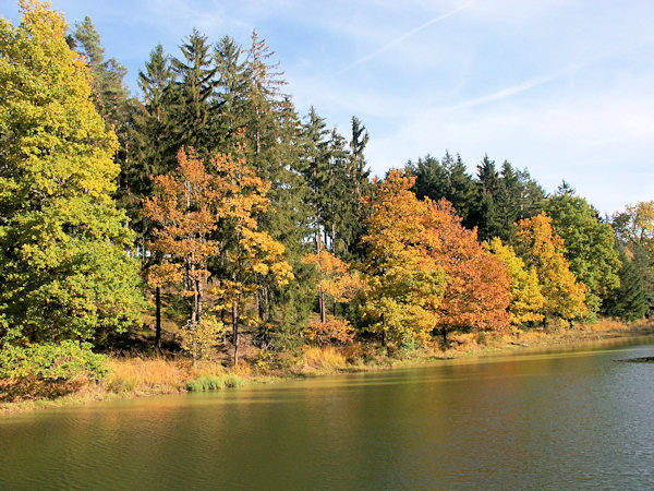 Am Janovické rybníky (Vorderer Tellenteich).