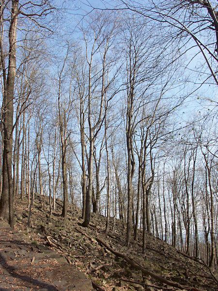 Under the summit of Studenec.