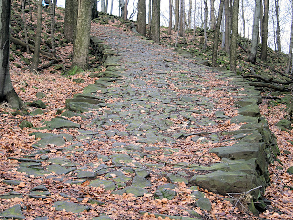 Mit Basalt gepflasterter Weg auf den Studenec (Kaltenberg).