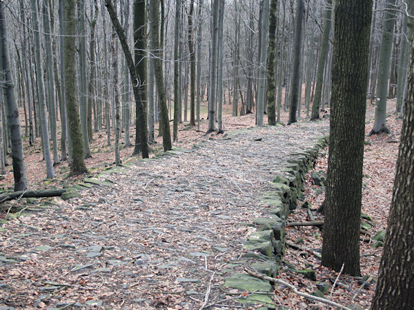 Downhill from the Studenec.