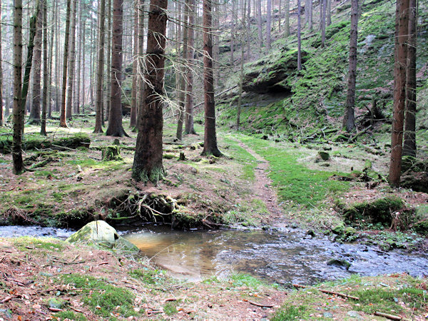 Über den Bach im Lipnický důl (Limpachtal).