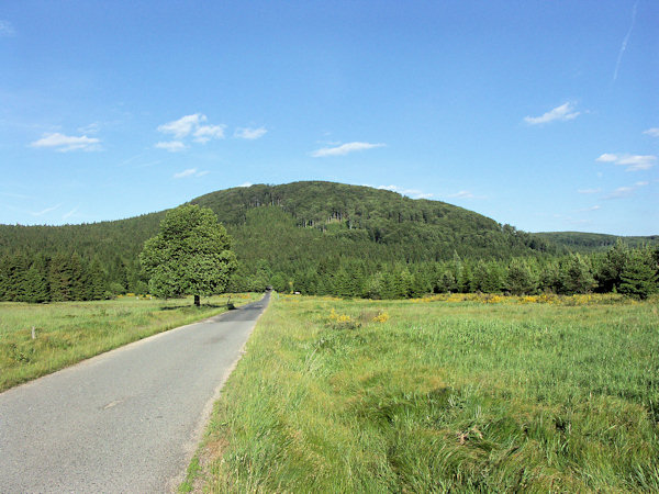 Forest road under the Bouřný.