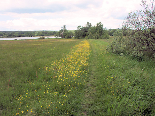A path around of the Velký rybník pond.