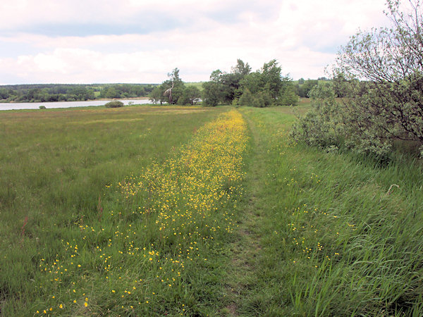 Weg um der Velký rybník (Grosser Teich).