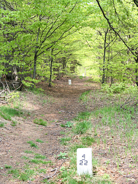 Border path under the Luž hill.