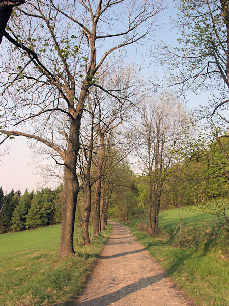 From Tolštejn hill to the Jedlová hill.