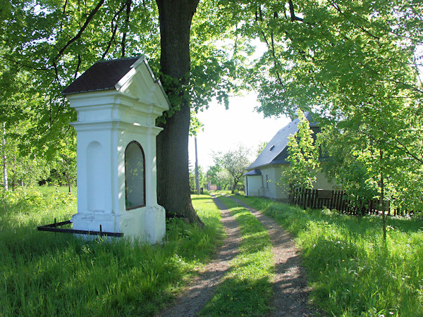 Der Kirchsteig nach Chřibská (Kreibitz).