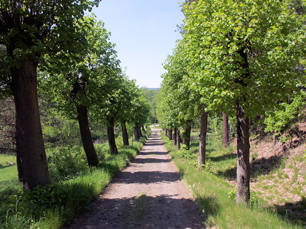 Vom Friedhof in Mařeničky (Klein-Mergthal).