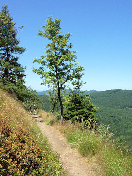In summer at the Klíč hill.