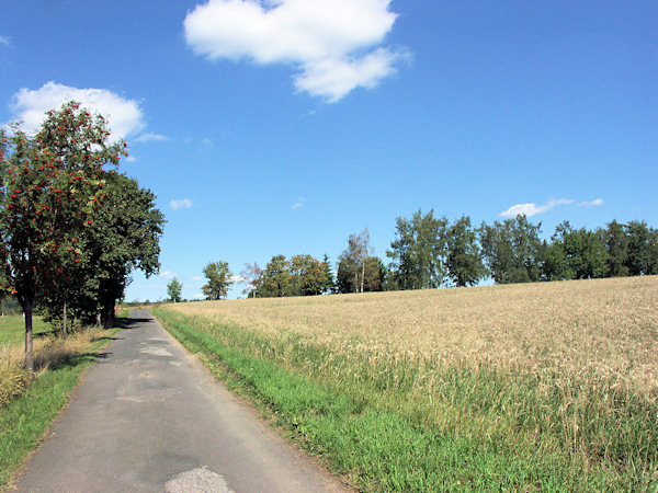 Towards the chapel of Sněžná.