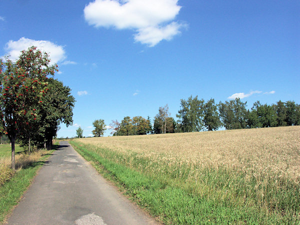 Zur Kapelle bei Sněžná (Schnauhübel).