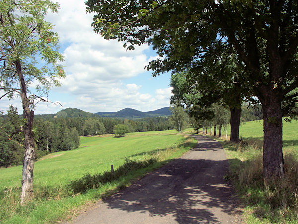 Von Studený (Kaltenbach) nach Chřibská (Kreibitz).