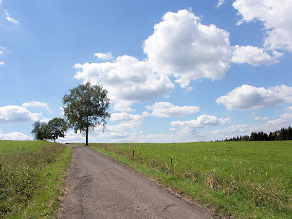 The minor road leading to Studený.