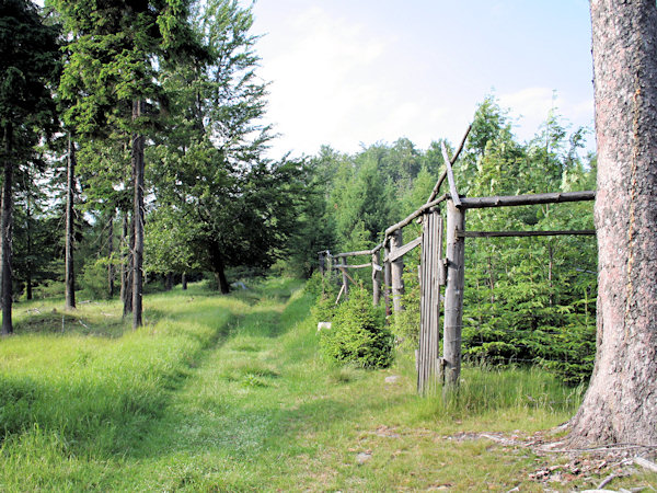 A grassy road at the Tisová hill.