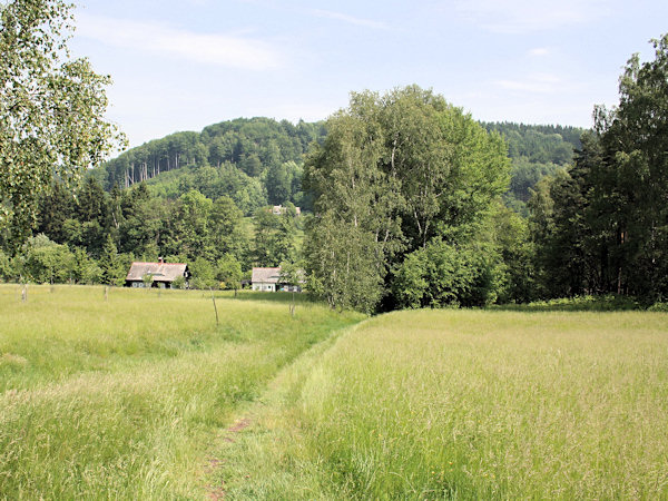 Frühling an der Strasse nach Rousínov (Morgenthau).