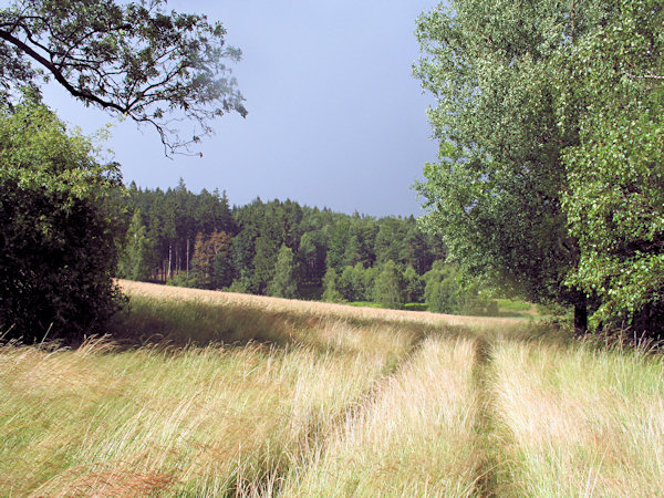 Před letní bouřkou.