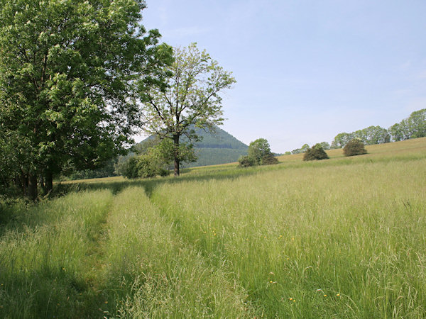 Through the meadows to the Klíč hill.