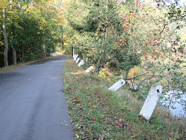 On the forest road near of the Hraniční rybník pond.