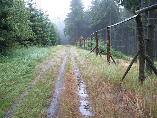 Nachsommer vor Nová Huť (Neuhütte).