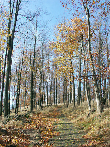 Autumn road to the Studenec hill.