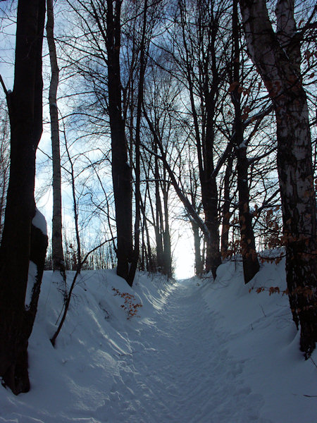 On a snow track to Svor.