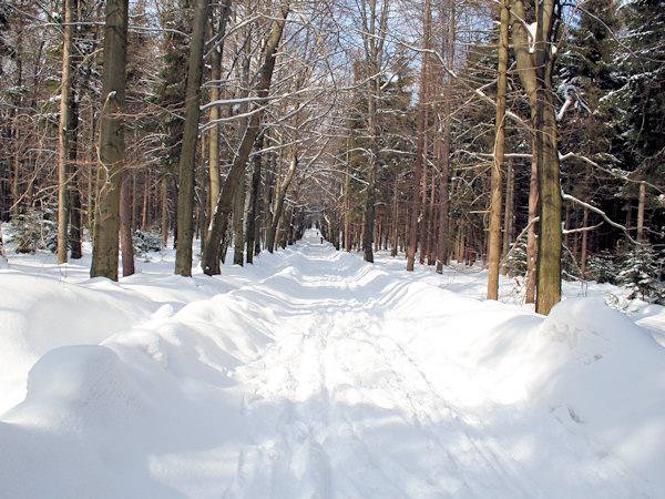 Auf der Waldstrasse Dlouhá míle (Lange Meile).