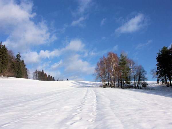 Zasněžená cesta do Rousínova.