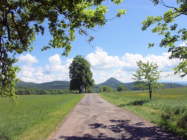 Strasse von Prysk (Preschkau) nach Polevsko (Blottendorf).