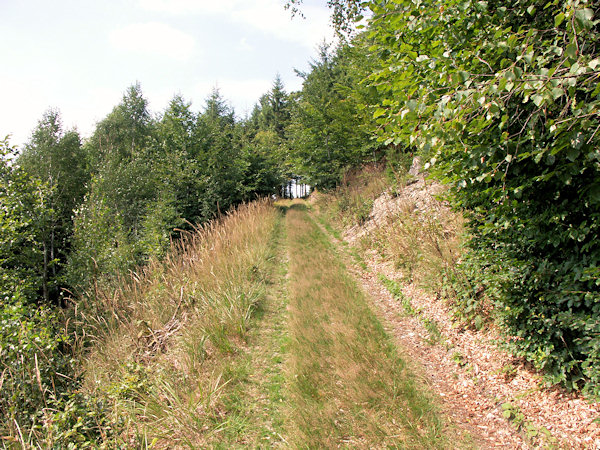 The grass-covered way under the Chřibský vrch-hill.