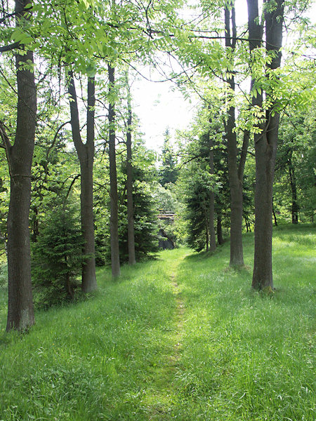 Grass path to the stop at Nová Huť.