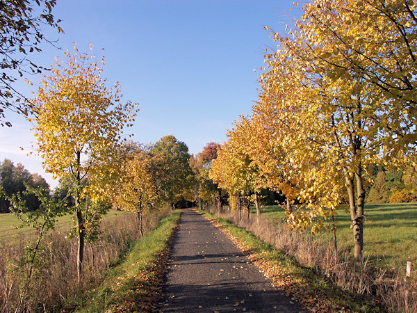 Straße von Janovice (Johnsdorf) nach Lemberk (Lämberg).