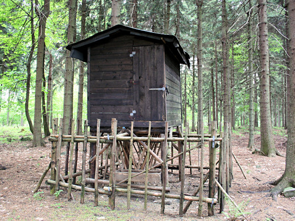Futterkrippe und Tiergartenzaun in dem Walde oberhalb von Slunečná (Sonneberg).