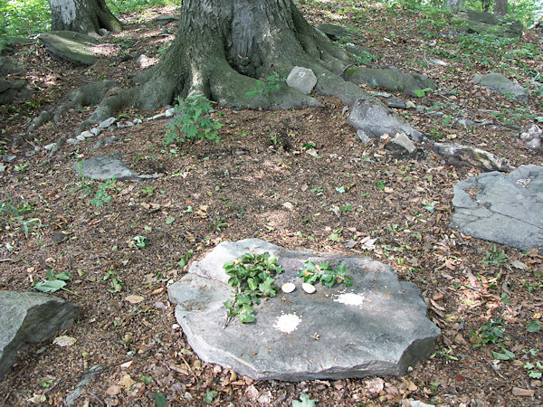 A table laid for wood spirits at the Ortel hill.