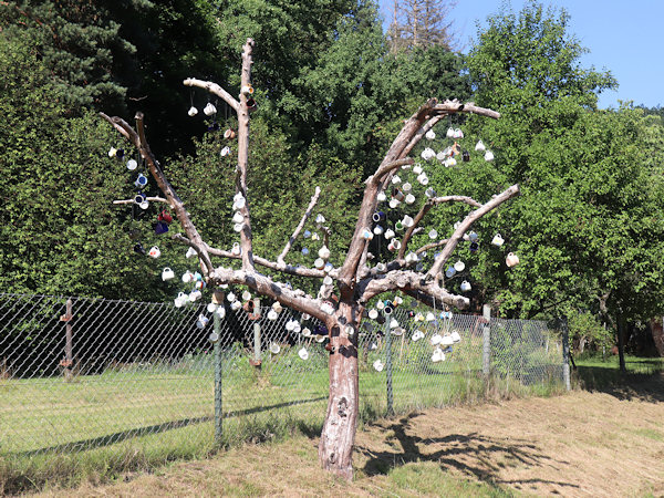 The cups tree in Mlýny.