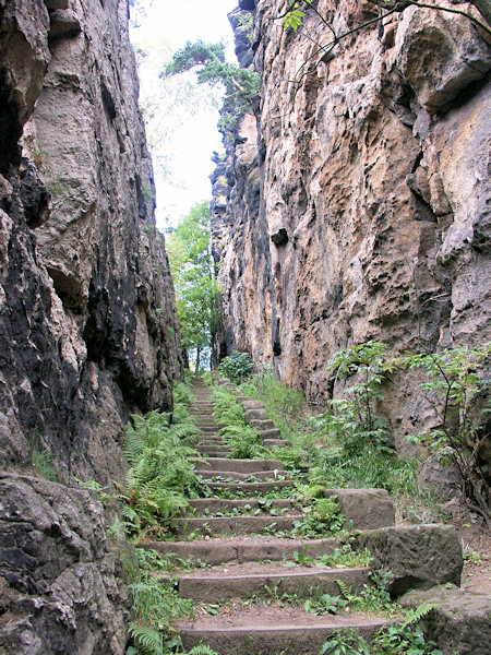 Průrva Grosse Felsengasse (Velká skalní ulice) ve skupině Nonnenfelsen (Jeptišky) u Jonsdorfu.