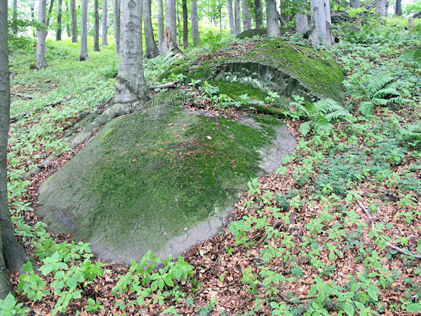 A basaltic loaf of bread on the slope opf the Chotovický vrch hill.