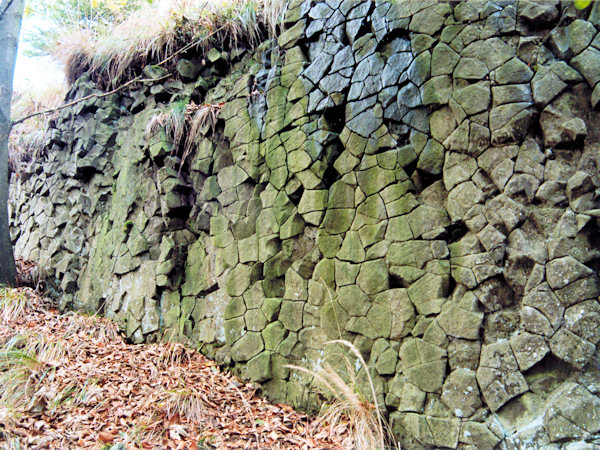 Absonderung des Basaltes in Säulen am Zlatý vrch (Goldberg) bei Líska (Hasel).