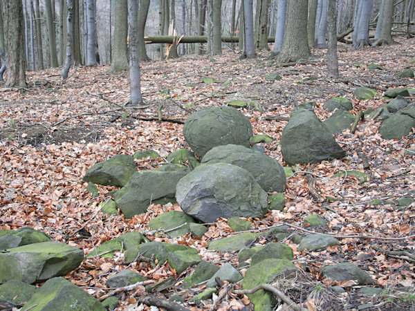 Basaltkugeln unter dem Černý vrch (Schwarzer Berg) bei Líska (Hasel).