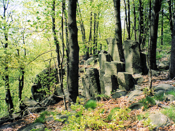Basaltsäulen am Vlčí vrch (Wolfsberg) über Slunečná (Sonneberg).