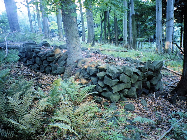Hromada pečlivě sesbíraných kamenů v lese pod Javorkem.