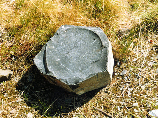 A detail view of a basaltic column at the Zlatý vrch hill.